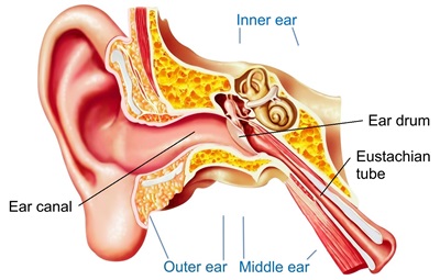 ear infection