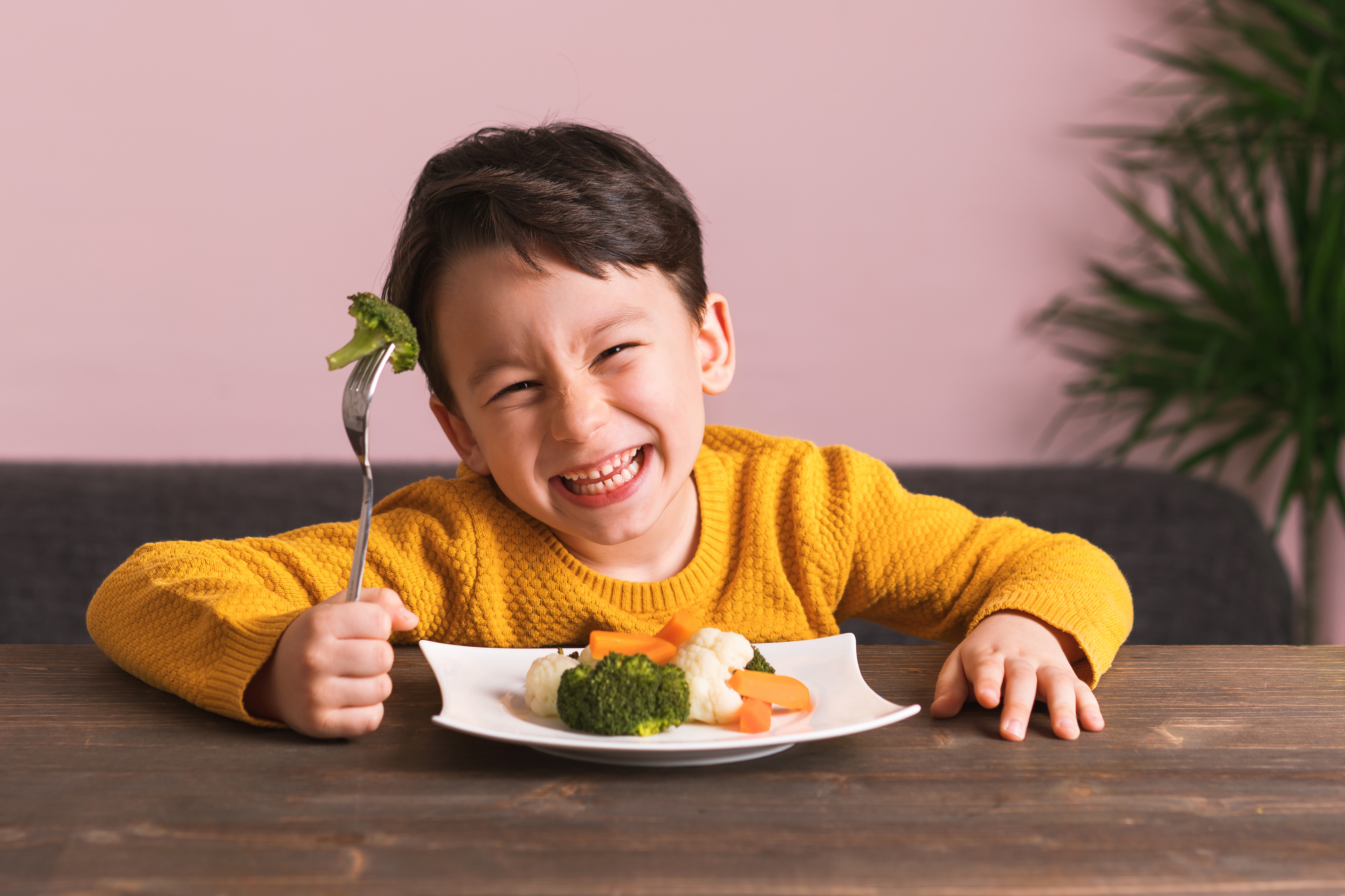 vegetarian diet for children