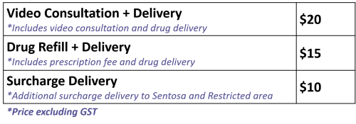 Video Consultation In Singapore Speak With Doctors Online Today Video Consultation In Singapore Speak With Doctors Online Today